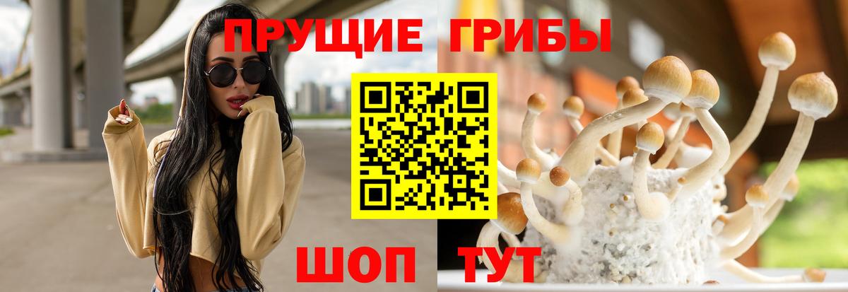 Псилоцибиновые грибы мицелий  Псилоцибиновые грибы мицелий  Вход с VPN  Ялта 